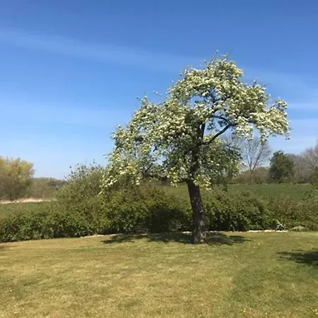 Gartenvilla@baltic-chalets Warnkenhagen (Kalkhorst)